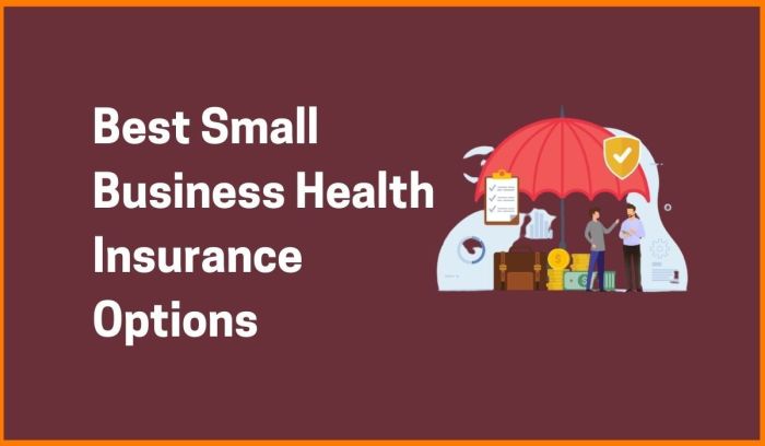 Best Health Insurance Options for Small Businesses r Startups
